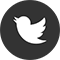 Twitter Logo